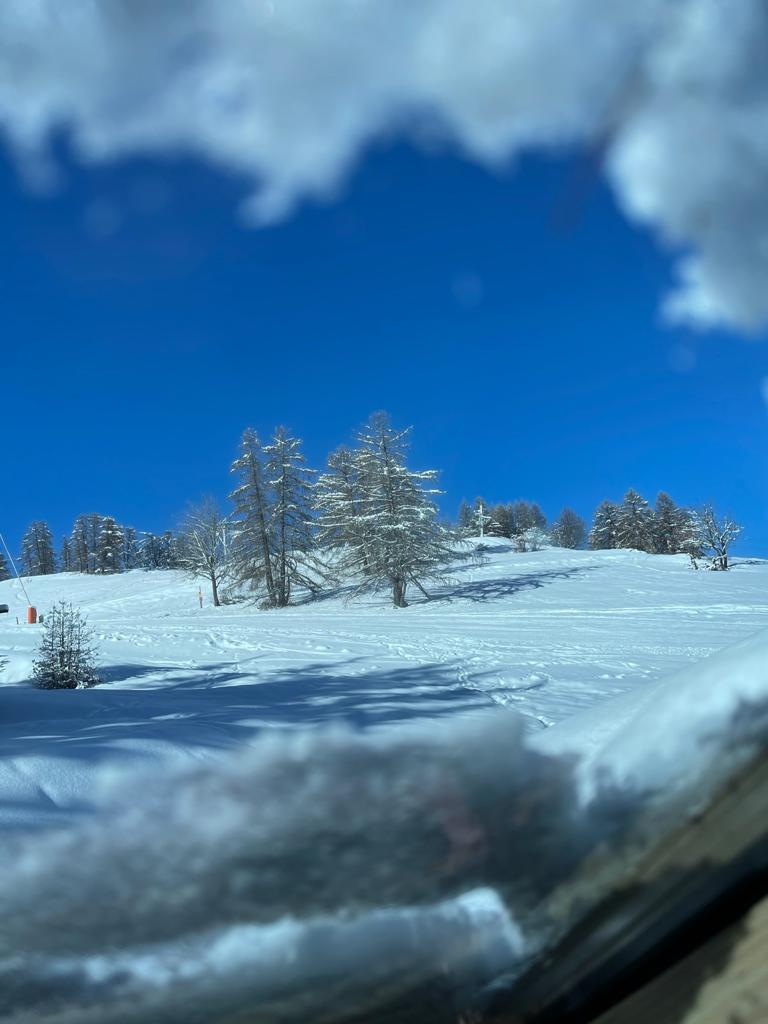 Photo 24-01-2021 11 00 38